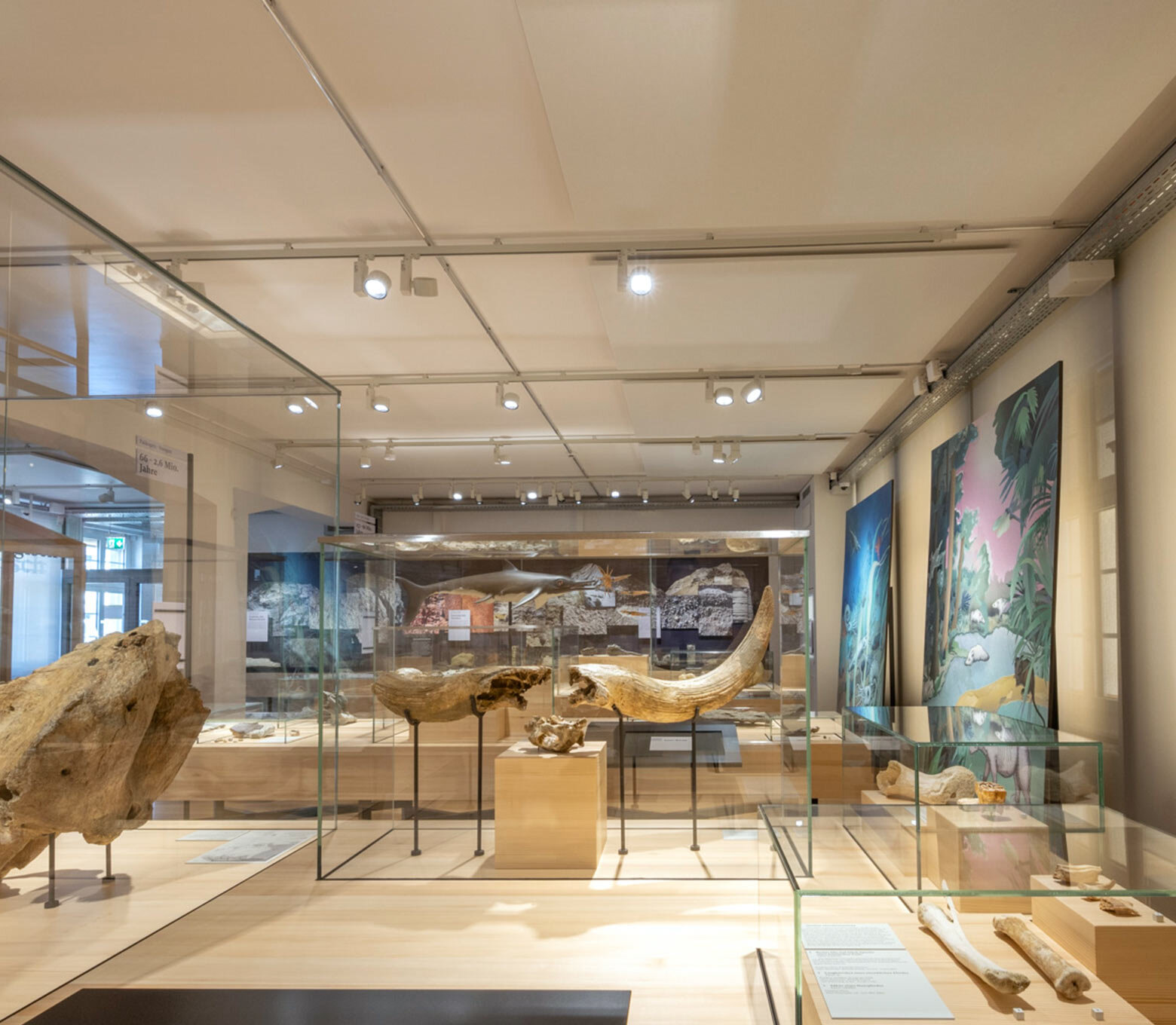 bluefiber Referenz des Naturmuseum, Olten CH